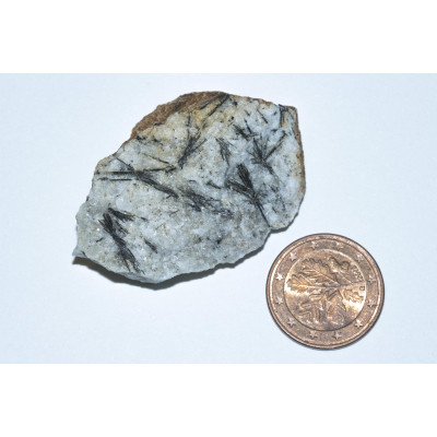 Ludwigite